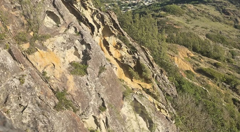Rugged Barbadian cliffs and green coastal landscape