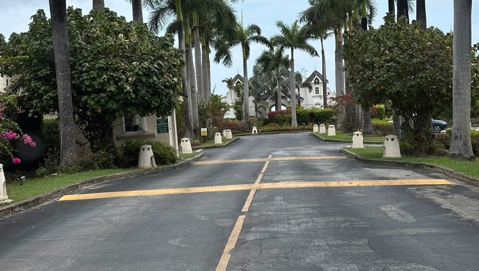 Palm-lined entrance to a historic Barbadian property